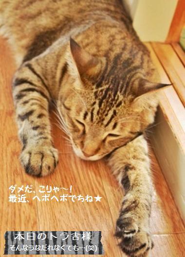 イチジクと生ハムのサンドイッチ~♪_a0348473_13422458.jpg