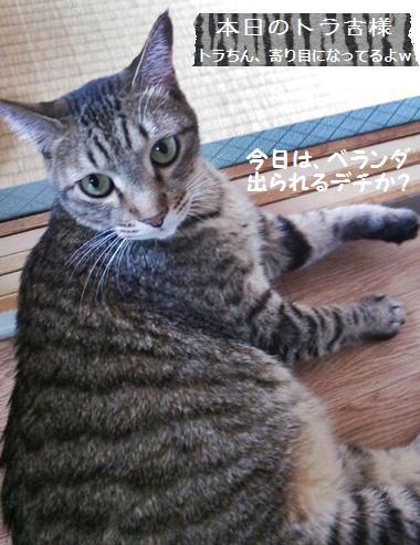 無水酵母☆ブルーベリー水無し酵母と。。。_a0348473_13424088.jpg