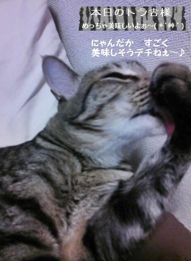 クープ入れ動画とか…、お塩のこととか…。_a0348473_13425274.jpg