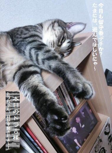 神戸散策と願いが叶う椅子!?_a0348473_13430931.jpg