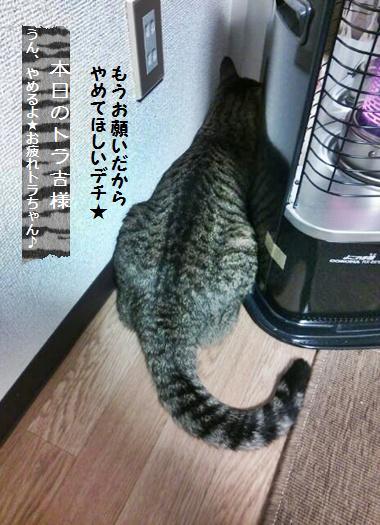 話題入り！まさかのあの方から…とキャロットパン_a0348473_13462183.jpg
