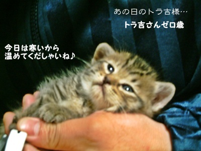前に進む為に書いておきたい最後の日のこと。_a0348473_13471326.jpg