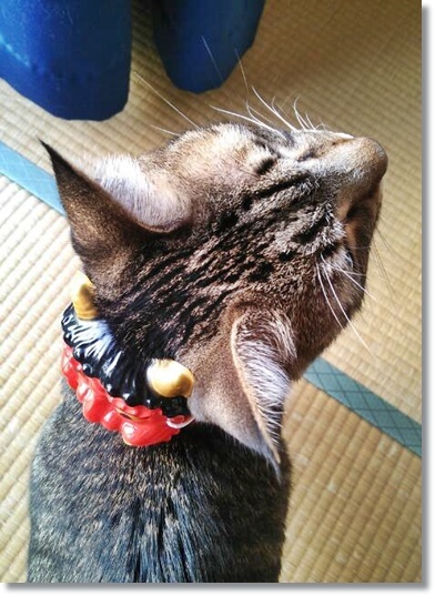 今週のトラ吉様というか、私のつぶやき…_a0348473_13473846.jpg