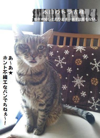 こんなにもブッサイクなのに、めっちゃ美味しいパン_a0348473_13474156.jpg