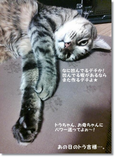 包み方って大事よね…お豆のパン＠玄米酵母_a0348473_13481503.jpg