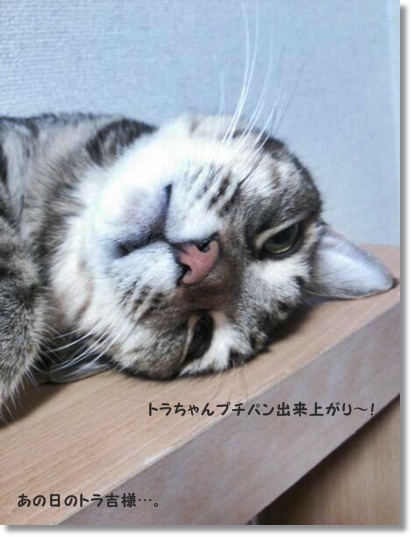 デザートみたいな人気のクランベリーチーズパン_a0348473_13483316.jpg