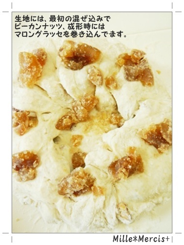カンパーニュって何？保湿するスパイラルクープ_a0348473_13484177.jpg