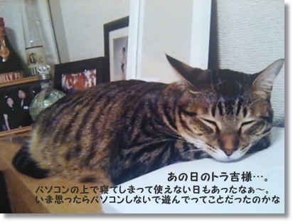 カンパーニュって何？保湿するスパイラルクープ_a0348473_13484257.jpg