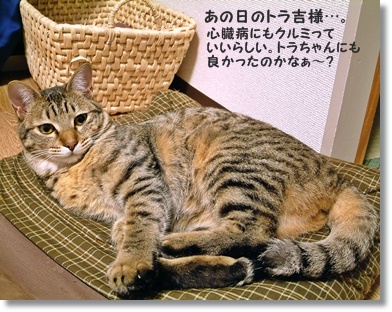 お見逃しなく♪胡桃パワー！しょっぱいビスコッティ_a0348473_13485220.jpg