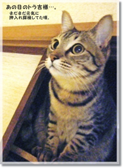今日で６年目になりましたが。。。_a0348473_13485502.jpg
