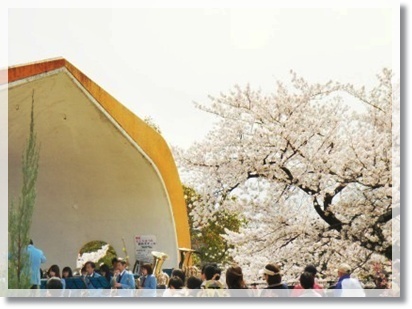 桜祭りと無料動物園そして美味しいパスタ♪_a0348473_13490765.jpg
