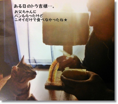 タバチェールと危険なヤミツキ？マヨ糖ースト_a0348473_13492507.jpg
