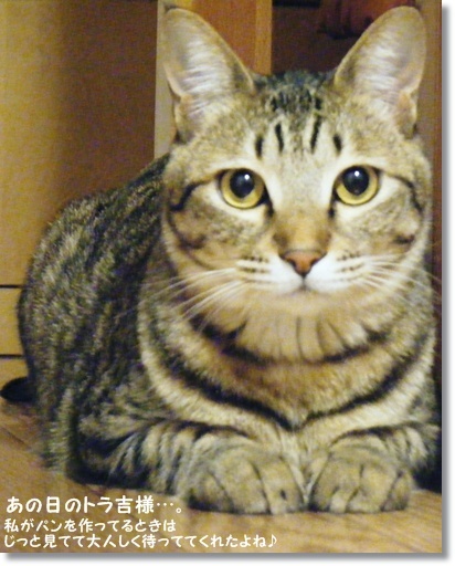 バーチャルパン教室LESSON３～失敗の巻き～_a0348473_13505173.jpg