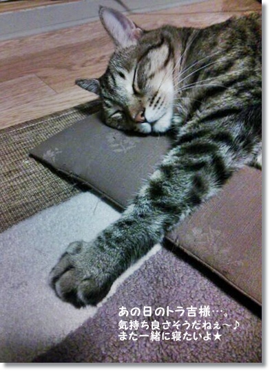 今年もバラ酵母を起こしてみました♪_a0348473_13505367.jpg
