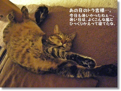道の途中の素敵なギャラリーカフェとベーグル_a0348473_13511736.jpg