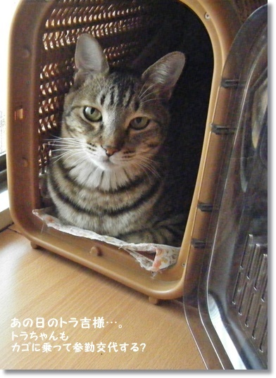 私の田舎のこと。映画になったこと。_a0348473_13515573.jpg