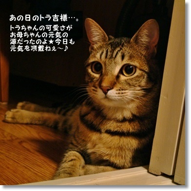 【レシピ】またまたリサイクル林檎でアレを焼きました。_a0348473_13542257.jpg