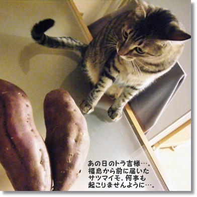 AOSAＮのパン☆生意気なパンレポ(*ノωノ)_a0348473_13542369.jpg