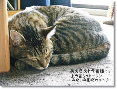 渋皮栗とマカダミアの可愛いシュトーレン♪_a0348473_13542688.jpg