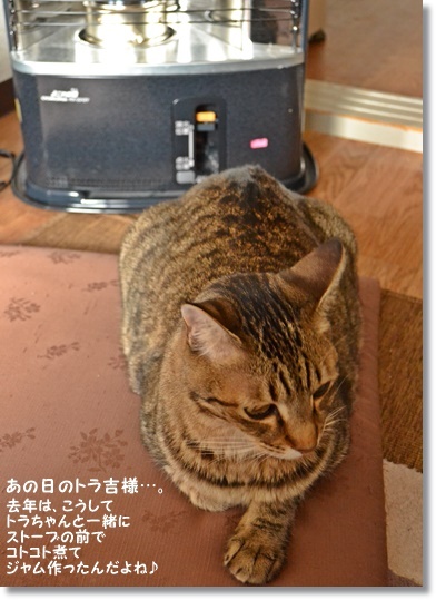 ビックリな事☆洋梨と林檎のラムレーズンのコンフィチュール_a0348473_13543690.jpg