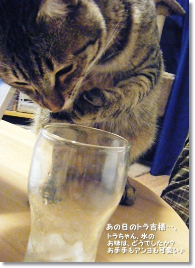 ブルックリンジャーでアップルクランブル♪_a0348473_13545043.jpg