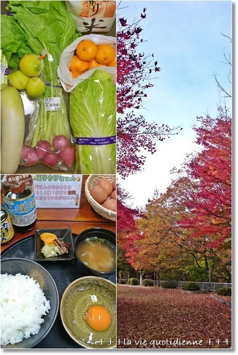 小麦酵母のパンとTKG★紅葉狩り能勢~篠山散歩_a0348473_14274715.jpg