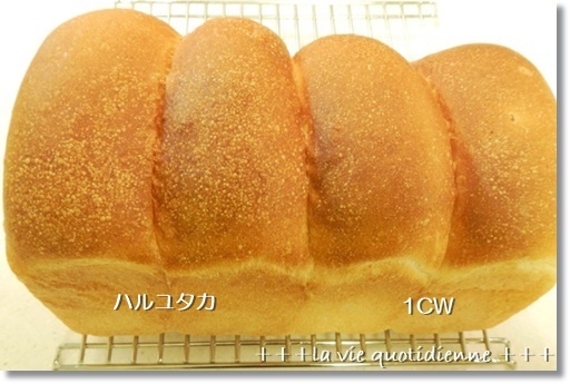 粉違いの山食の焼き比べ / クックパッドニュースに掲載♪_a0348473_14275968.jpg