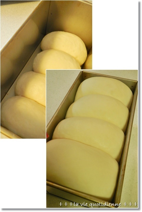 粉違いの山食の焼き比べ / クックパッドニュースに掲載♪_a0348473_14275979.jpg