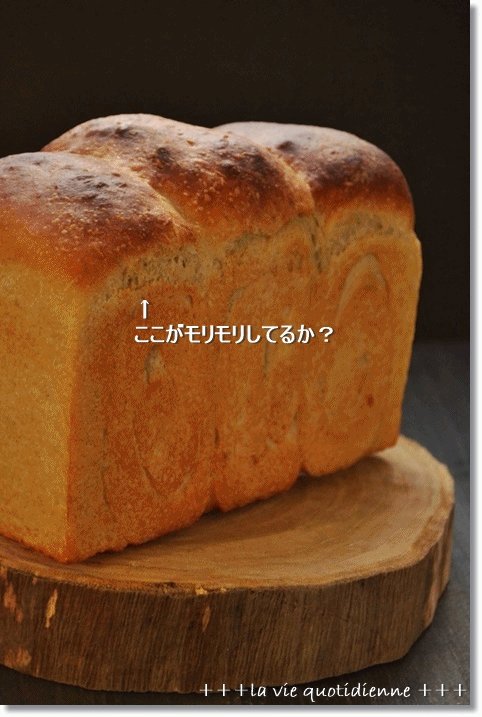 カッコイイ山食の見分け方?とホウレン草のバトン_a0348473_14280300.gif