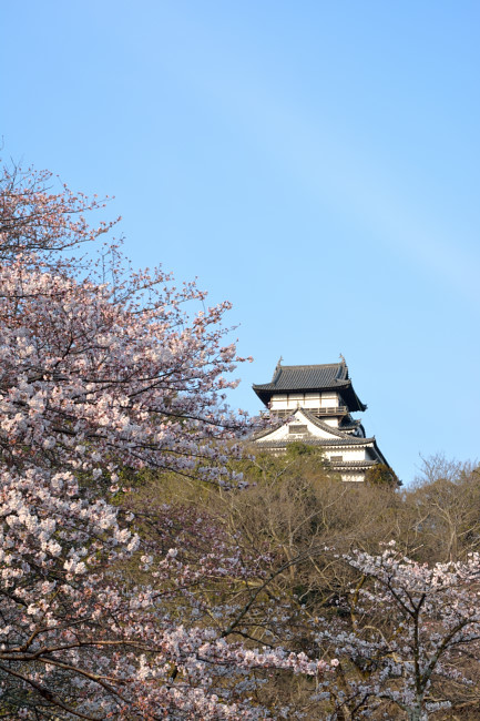 c0367473_20112270.jpg