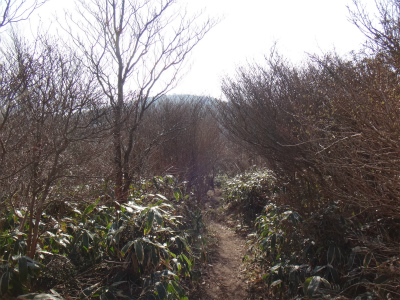 d0182075_20124211.jpg