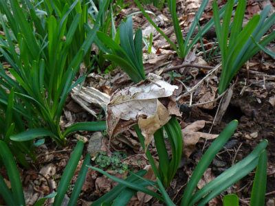d0182075_20193728.jpg