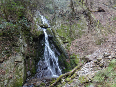 d0182075_209554.jpg