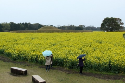 西都原古墳群（バス旅行）_b0018976_2233142.jpg