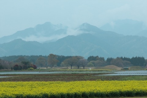 西都原古墳群（バス旅行）_b0018976_2234220.jpg