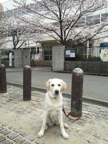 d0351381_21035347.jpeg