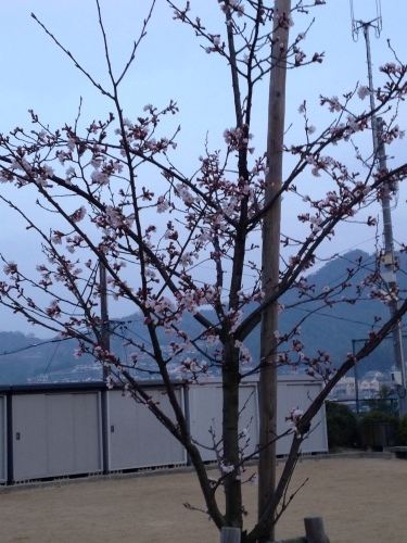 f0315081_15411456.jpeg