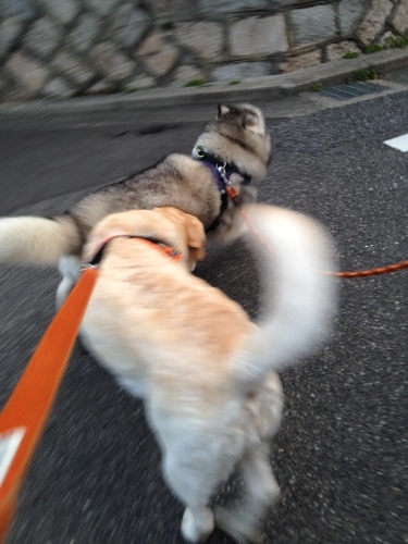 f0315081_15424585.jpeg