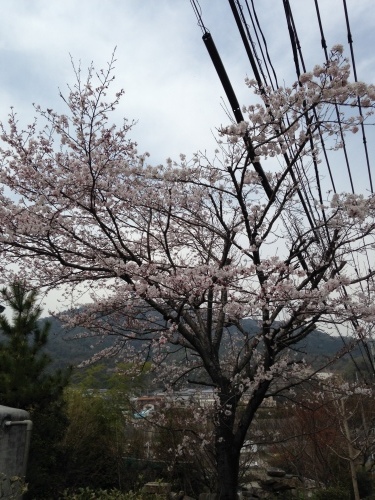 f0315081_15451664.jpeg