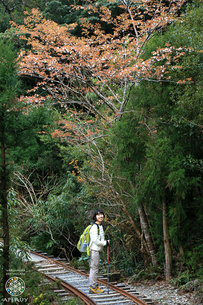 f0252883_848515.jpg
