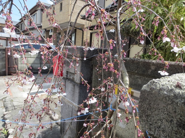 b0336384_00015139.jpg