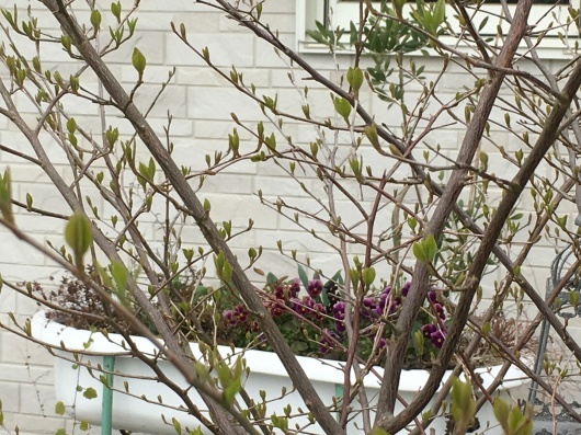 b0336787_22335797.jpeg