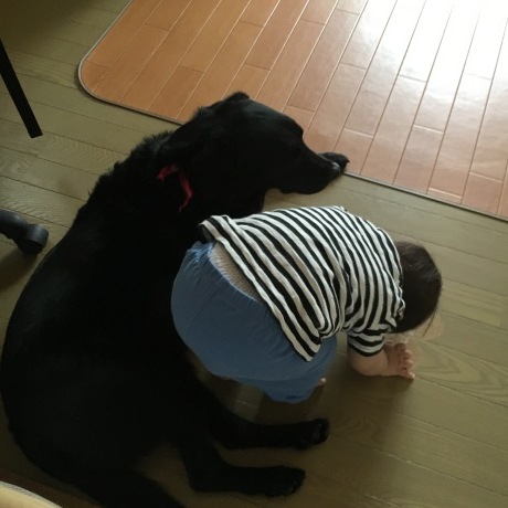 e0160787_22380886.jpeg