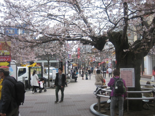b0014392_16255359.jpg
