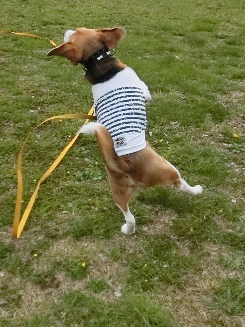 a0319693_8435528.jpg