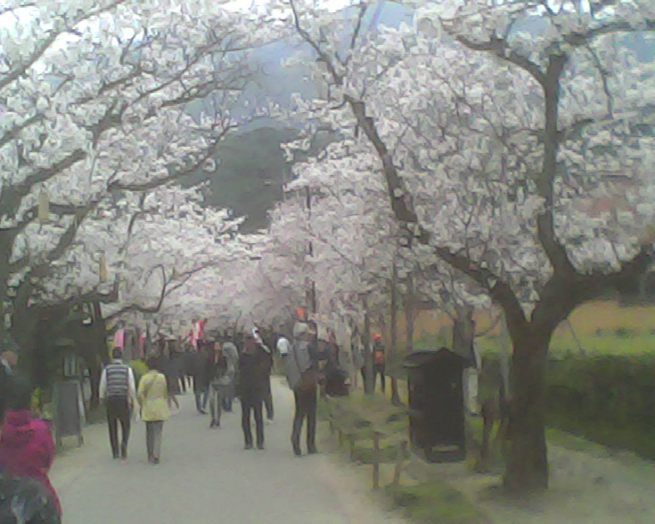 a0335493_20041642.jpg