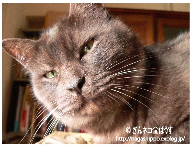 いつ買うん?_a0333195_17014723.jpg