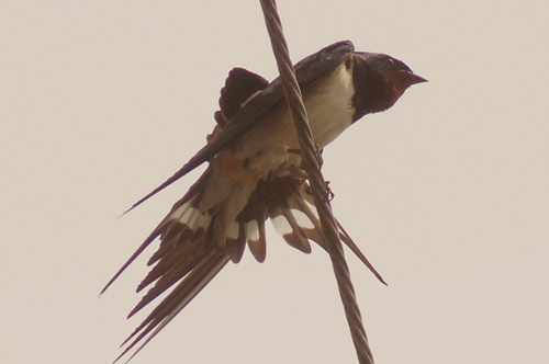 a0206496_11512169.jpg
