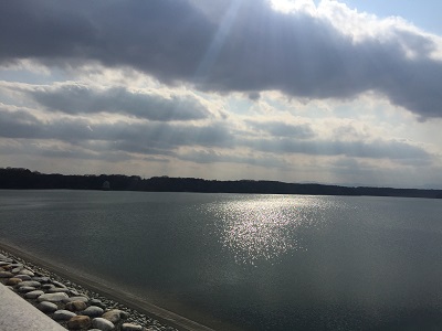 a0134004_21391285.jpg