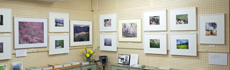 d0342009_14233370.jpg